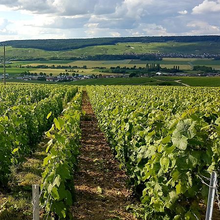 Le Cocon Appartement Proche Epernay Et Maisons De Champagne เอ-แชมเปญ ห้อง รูปภาพ