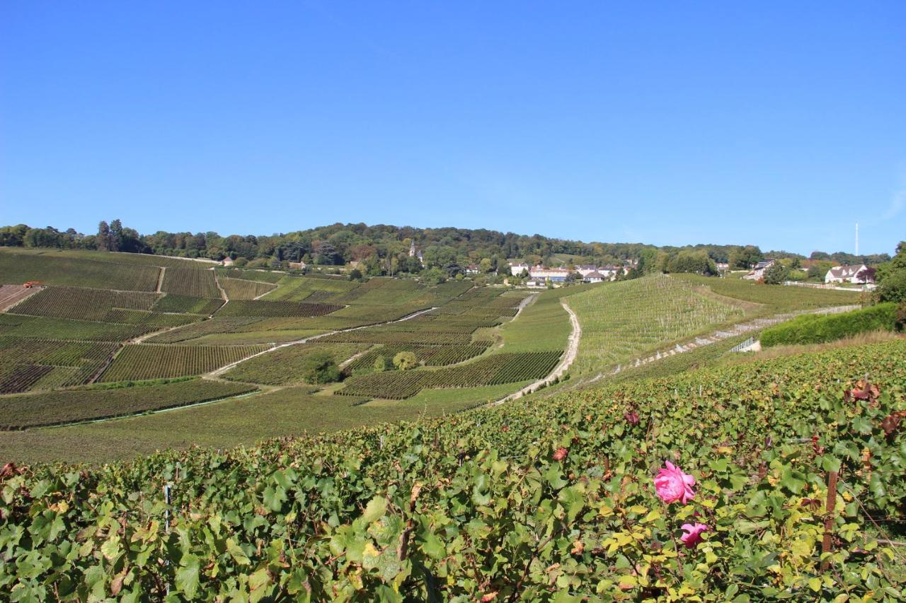 Le Cocon Appartement Proche Epernay Et Maisons De Champagne เอ-แชมเปญ ภายนอก รูปภาพ