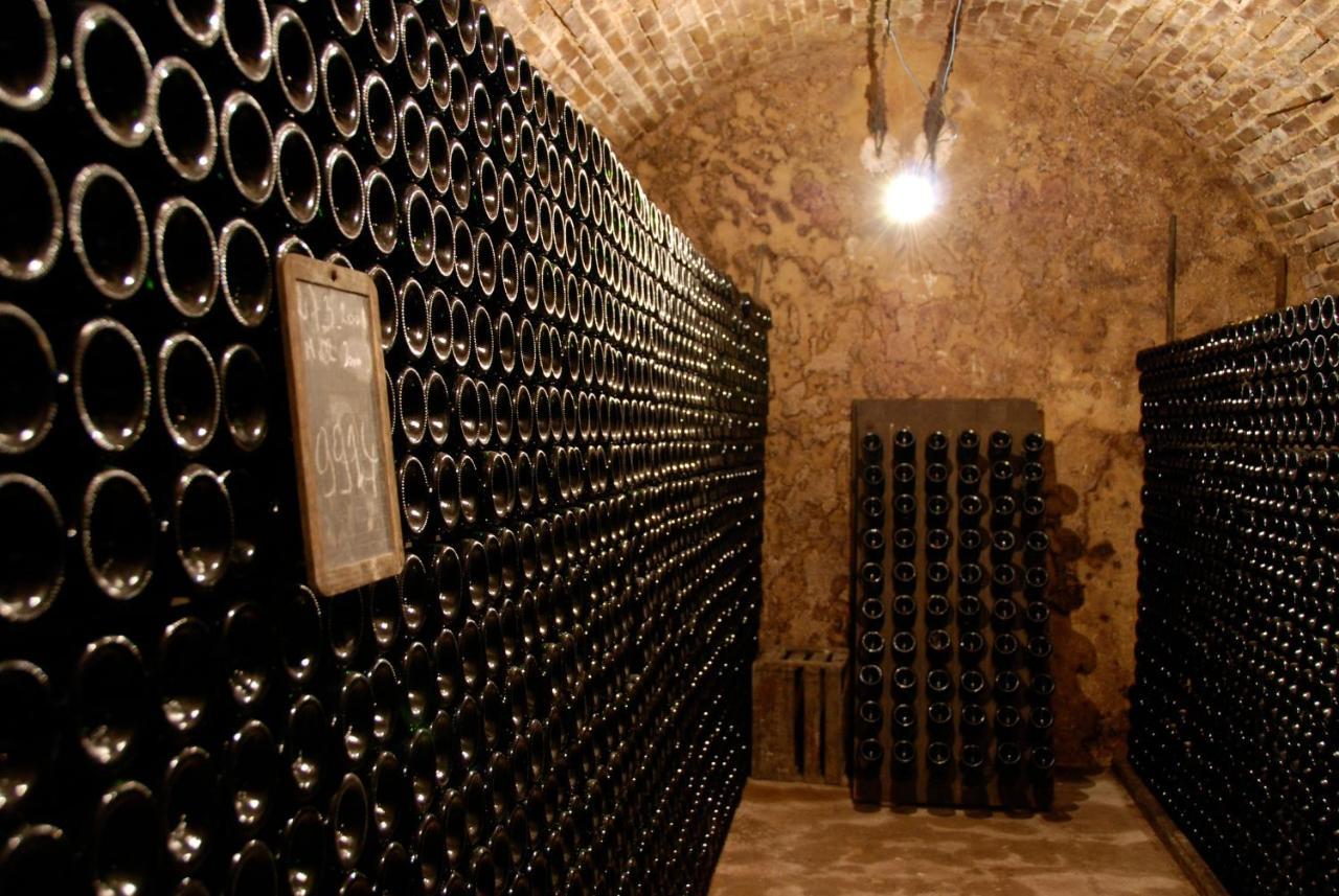 Le Cocon Appartement Proche Epernay Et Maisons De Champagne เอ-แชมเปญ ภายนอก รูปภาพ