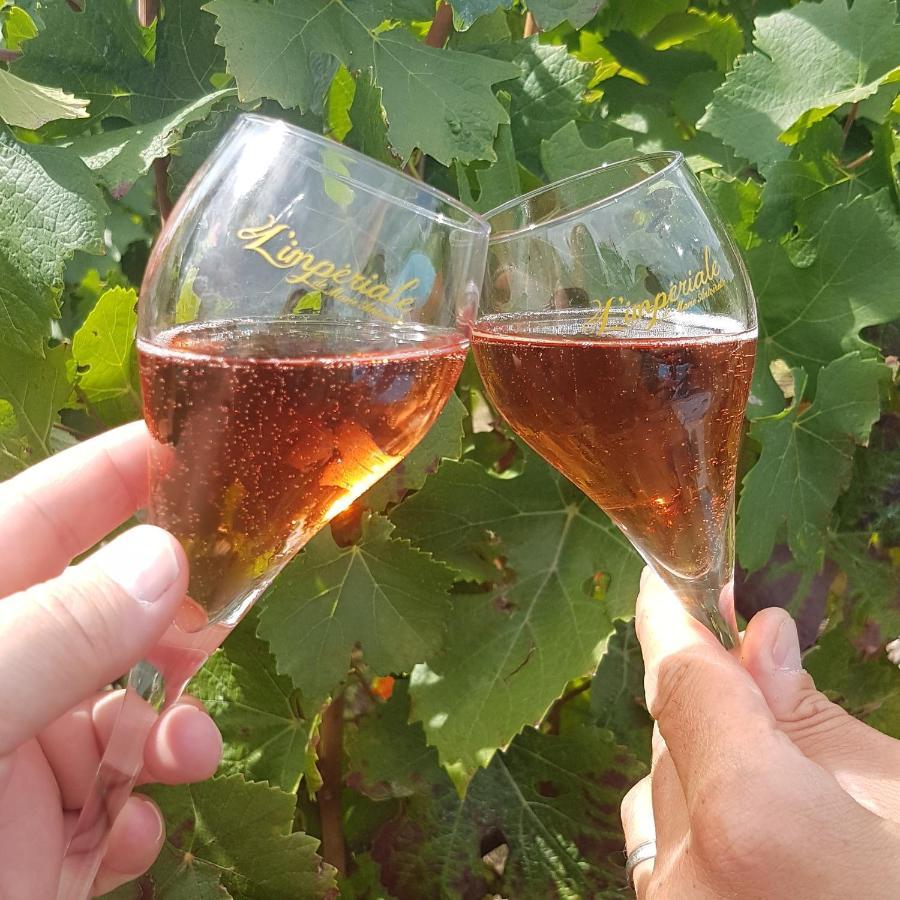 Le Cocon Appartement Proche Epernay Et Maisons De Champagne เอ-แชมเปญ ภายนอก รูปภาพ