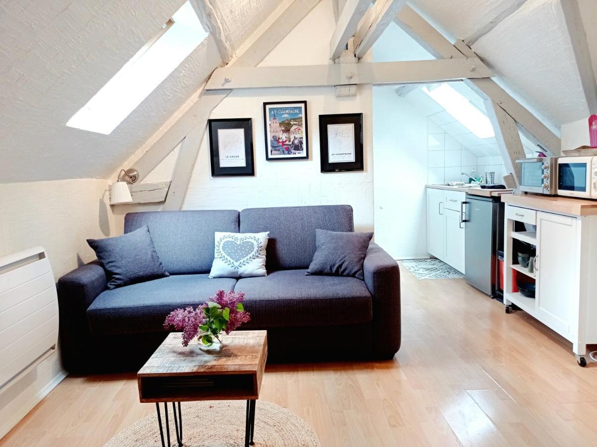 Le Cocon Appartement Proche Epernay Et Maisons De Champagne เอ-แชมเปญ ภายนอก รูปภาพ