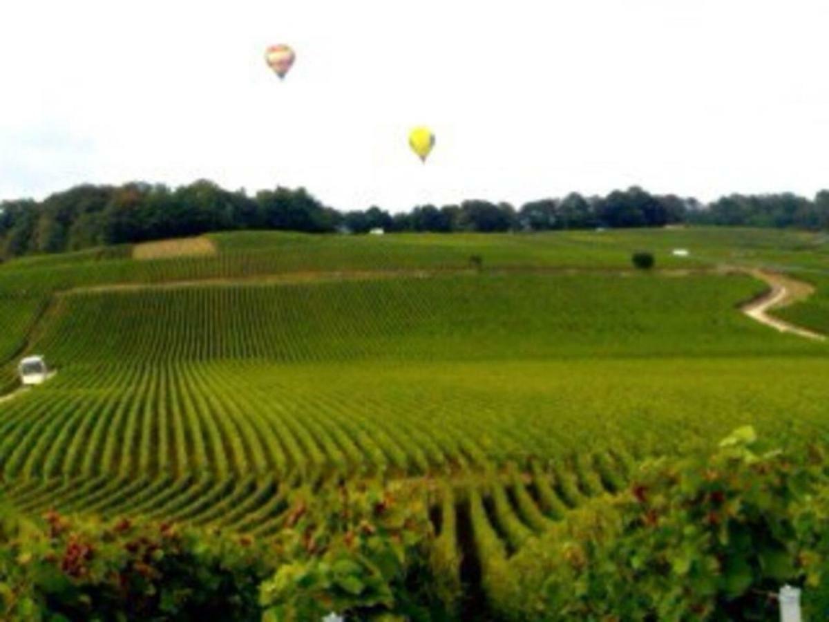 Le Cocon Appartement Proche Epernay Et Maisons De Champagne เอ-แชมเปญ ภายนอก รูปภาพ